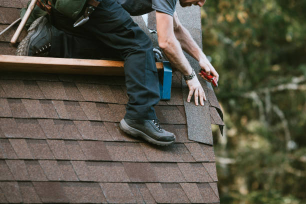 Best Gutter Installation and Roofing  in Edgemoor, DE